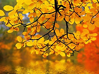 11월 14일 축일 맞으신 성..