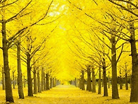 11월 28일 축일 맞으신 성..