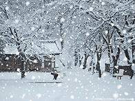 12월 13일 축일 맞으신 성..