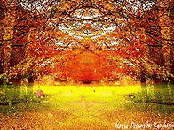 11월 21일 축일 맞으신 성..