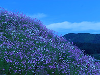 9월 3일 축일 맞이하신 성..