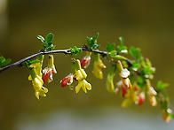 4월 18일 축일 맞으신 성..