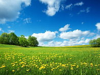 4월 16일 축일 맞으신 성..