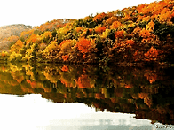 11월 17일 축일 맞으신 성..