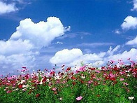 10월 19일 축일 맞으신 성..