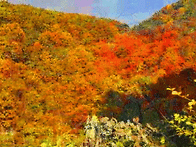 11월 12일 축일 맞으신 성..