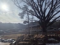 구룡사~세렴폭포