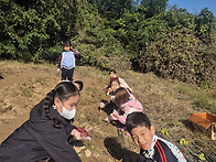 25-10월 추수, 고구마캐기..