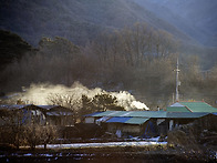 정겨운 풍경 앞에