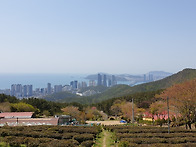 해운대 구곡산&시산제(20..