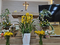 20260412영상(칠정교회-꽃..