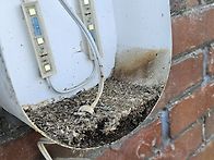 모든것이 은혜입니다.