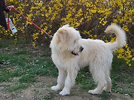 5개월15일된 복순이