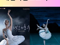 [백조의 호수]-체..
