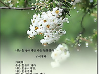 너는 눈부시지만 나는 눈물..