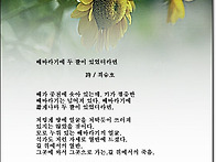 해바라기에 두 팔이 있었더..