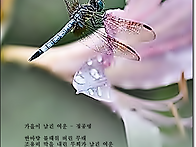 가을이 남긴 여운 / 정종면