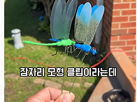 모기 퇴치에 효과가 있다는..