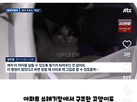 뉴스에 나온 진료비 100..