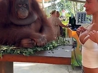 휴가 중에 상사의 카톡을 ..