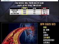 아침형 인간 VS 저녁형 인..