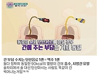 술과 탄산의 공통점