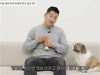 키울때 난이도 없다는 멍멍..