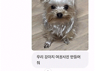 애완동물 여권 사진도 만들..