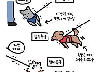 산책나온 멍멍이 3대욕구