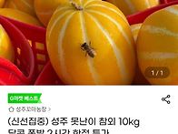 [G마켓]성주 못난이 참외 ..
