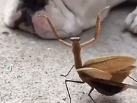 수원인근 괜찮은 치과 추천..