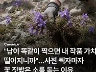 차원이다른 요즘 관광객진..