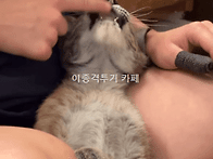 집사와 좋은 시간 보내는 ..