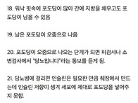 당뇨가 생기는 과정