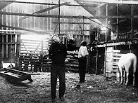 AP 선정 20세기를 대표하는..