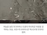 스스로 표적 공격...사람 ..