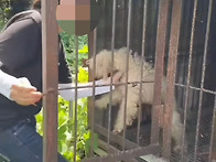 가위로 살 찢어져도 마취없..