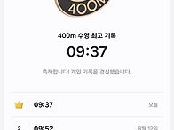 오늘의 새수~