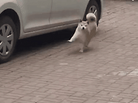 크하하하~~태근함미다