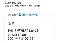 웹소설 작가 수입