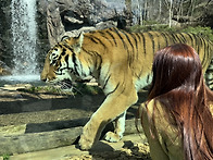 이집트 사람이 연락처 물어..
