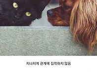 나이먹고 안정된 사람 특