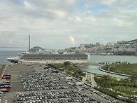 상어 보러온 사람들 ㄷㄷㄷ