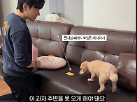 으르렁 소유욕 강한 강아지..