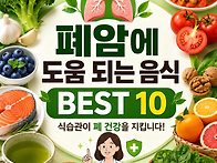 폐 건강에 좋은 음식