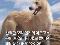 오디세이에서 눈물짓게 만..