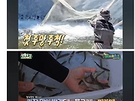 서울 청계천 생태계 근황 ..