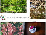 26년 이달의 사진 4월 주..