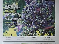 아름다운 사람들이 머문 ..