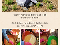 정성껏 볶아 곱게 갈아 만..